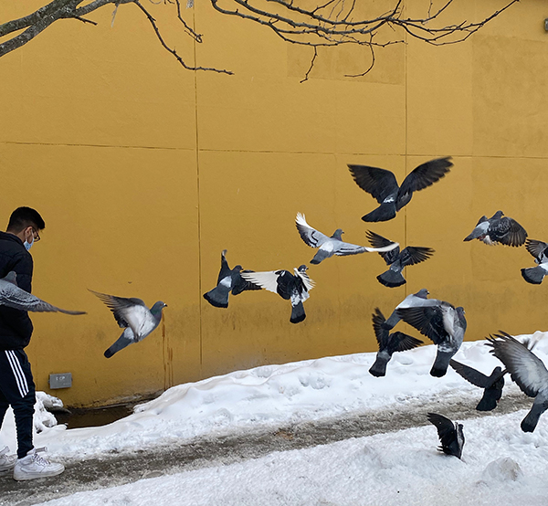 Peanut butter in Woodside, vaccine secrets, head to Hartford