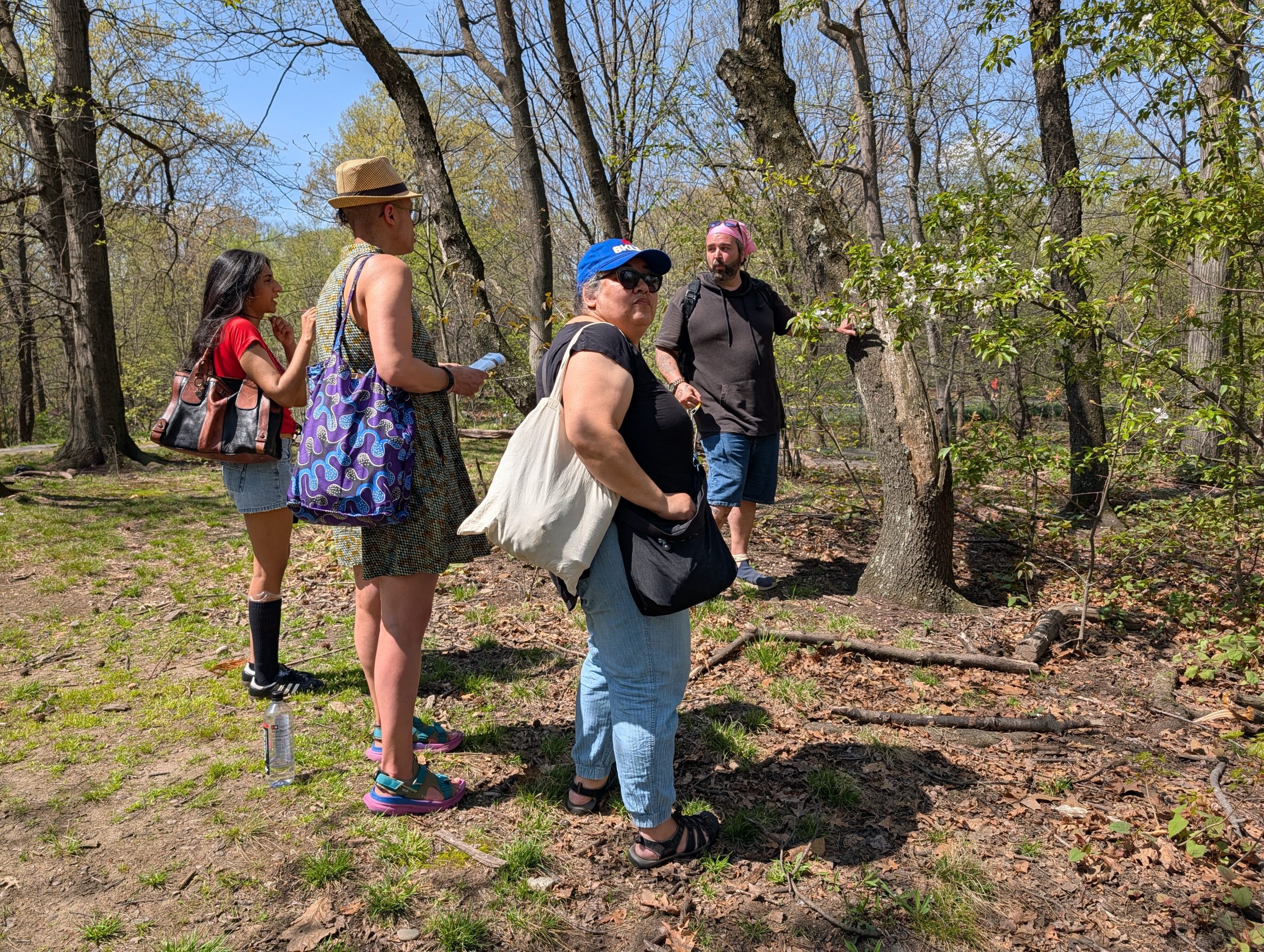 The New Yorkers looking out for Gotham’s real-life bats