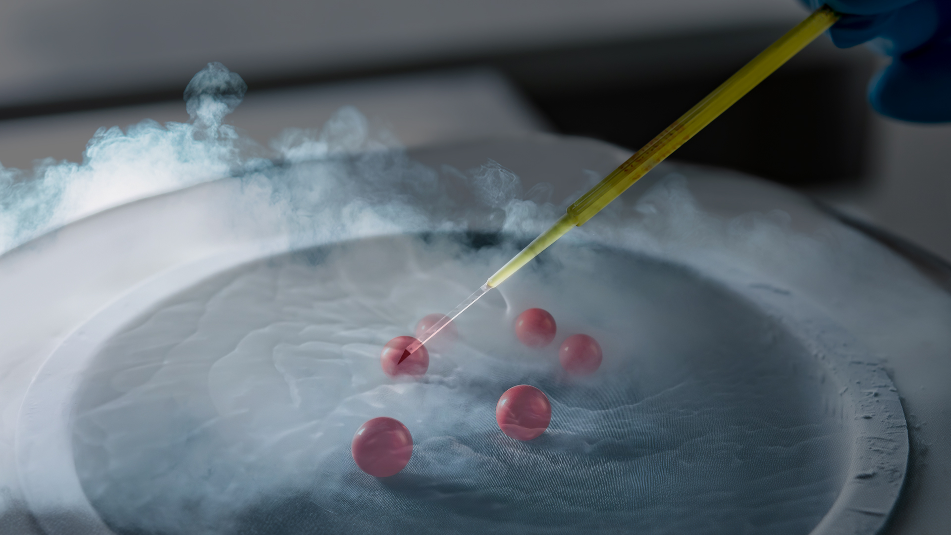 AOC is freezing her eggs. Your questions on the process, answered - Epicenter NYC